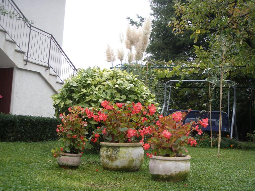 Apartments Katja Poreč Zimmer foto