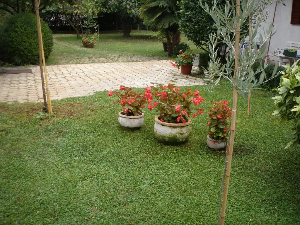 Apartments Katja Poreč Zimmer foto